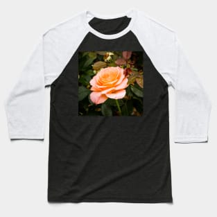 Solitary rose Baseball T-Shirt